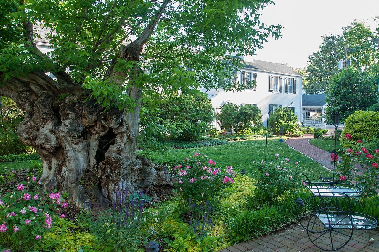 Essex Inn Tappahannock Exterior photo